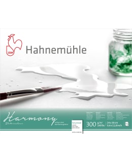 HAHNEMÜHLE HARMONY S 30X40 AKV.LEHTIÖ Main Image
