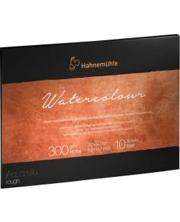 HAHNEMÜHLE COLLECTION K 30X40 AKV.LEHTIÖ Main Image