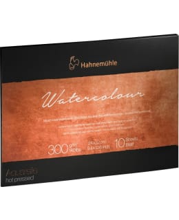 HAHNEMÜHLE COLLECTION S 24X32 AKV.LEHTIÖ Main Image