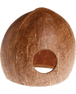 HOBBY CAVE KOOKOS M AKVAARIOKORISTE Main Image