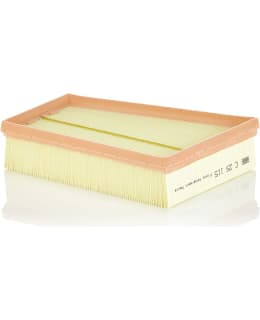 Mann C 25 115 Air filter Main Image