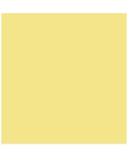 WACO KELTAINEN KANGASTUSSI Main Image