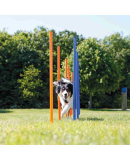 TRIXIE 12 KPL AGILITYKEPIT Main Image