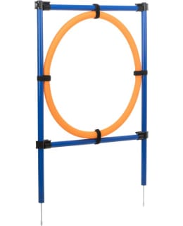 TRIXIE AGILITY RING Main Image