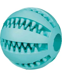 TRIXIE MINTFRESH BALL 8CM Main Image