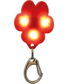 TRIXIE FLASHER USB PAW Main Image