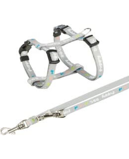 TRIXIE JUNIOR HARNESS+LEASH S-M Main Image