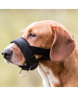TRIXIE MUZZLE LOOP ADJUSTABLE M-L Main Image