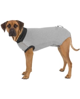 TRIXIE OP BODY L-XL HAAVASUOJA-ASU Main Image