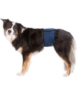 TRIXIE DIAPERS FOR MALE DOG M Main Image