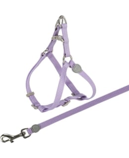 TRIXIE CAT HARNESS+LEASH SPECIAL LOCKING Main Image
