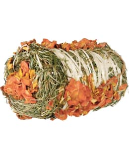 TRIXIE HAY BALE WITH CARROT/PUMPKIN 200G Main Image