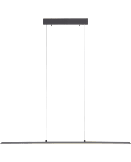 PN PURE-LITE 100CM ANT LED RIIPPUVAL Main Image