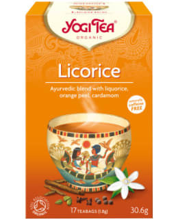 YOGI LAKRITSI LUOMU 17PSS TEE Main Image