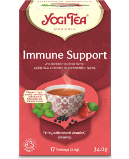 YOGI IMMUNE SUPPORT 17PSS LUOMU TEE Main Image