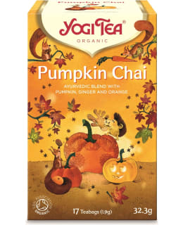 YOGI TEA AYU PUMPK LUOMU 17PSS MAUSTETEE Main Image