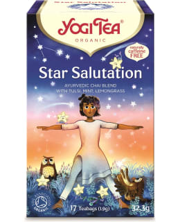 YOGI TEA YRTTI- JA MAUSTETEE 17X1,9G Main Image