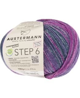 AUSTERMANN STEP-6 MIX EXP 150G 732 YARN Main Image