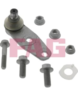SCHAEFFLER FAG 825 0258 10 PALLONIVEL Main Image