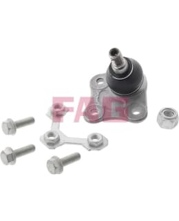 SCHAEFFLER FAG 825 0173 10 PALLONIVEL Main Image