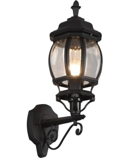 TRIO ELVO MUSTA ULKOSEINÄVALAISIN YLÖSPÄ Main Image