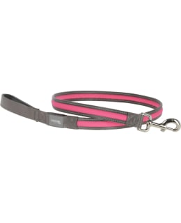 KERBL PINK LED LEASH Main Image