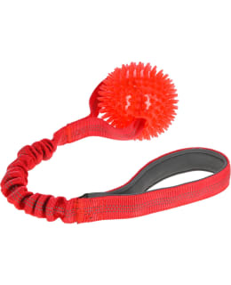 KERBL BUNGEETOY BALL, RED, 50 CM, Ø 9CM Main Image