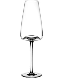 ZIEHER VISION RICH 2 KPL VIINILASI Main Image