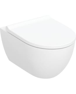 GEBERIT ACANTO 5658216 SEINÄ-WC Main Image