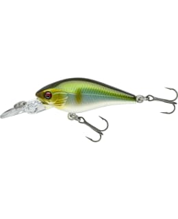 DAIWA PX BABY CB40MR SETSUKI AYU VAAPPU Main Image