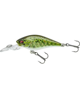 DAIWA PX BABY CB40MR LIVE BRN TROUT VAAP Main Image