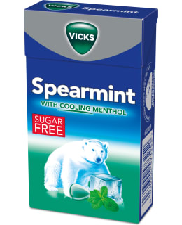 VICKS SPEARMINT 40G SOKTON KURKKUPAST. Main Image