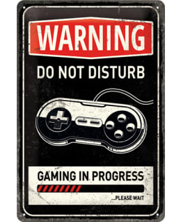 22264 GAMING IN PROGRESS 20X30 KILPI Main Image