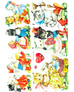 FARNIA SAAPASJALKAKISSA KIILTOKUVA Main Image