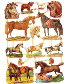 FARNIA 7211 HEVOSIA KIILTOKUVA Main Image