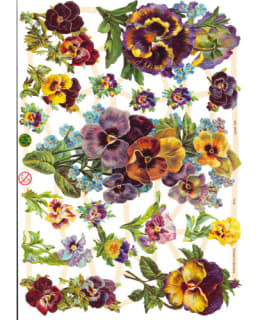 23,5 X 16,5CM KIILTOKUVA ORVOKIT Main Image