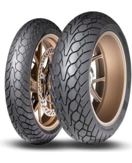 DUNLOP MUTANT 160/60ZR17 (69W) TL M+S RE Main Image