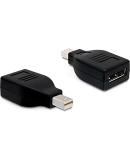 DELOCK 65238 SOVITIN MINI DISPLAYPORT > Main Image