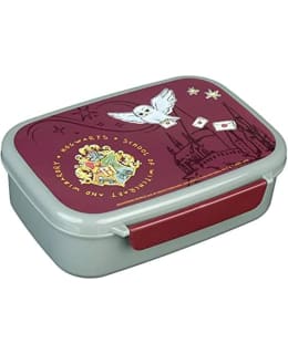 HARRY POTTER EVÄSRASIA Main Image