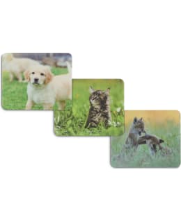 HAMA ANIMAL HIIRIMATTO Main Image
