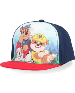 PAW-3-4531-TSI/PU-54 L.LIPPIS Main Image