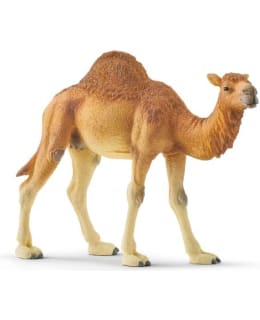 SCHLEICH 14832 DROMEDAARI Main Image