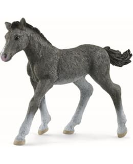 SCHLEICH 13944 TRAKEHNENHEVOSVARSA Main Image