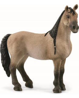 SCHLEICH 13948 CRIOLLO DEFINITIVO TAMMA Main Image