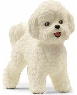 SCHLEICH 13963 BICHON FRISÉ Main Image
