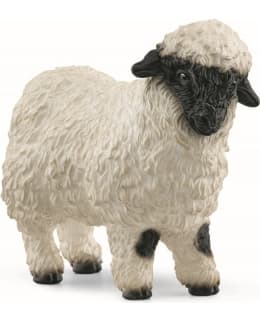 SCHLEICH 13965 BLACKNOSE LAMMAS Main Image