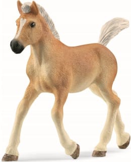 SCHLEICH 13951 HAFLINGER VARSA Main Image