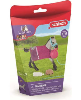 SCHLEICH 42534 VARSOJEN LEIKKISETTI Main Image