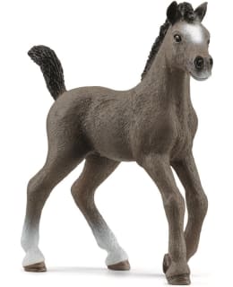SCHLEICH 13957 RANSKANPUOLIVERINEN VARSA Main Image