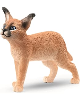 SCHLEICH 14868 AAVIKKOILVES PENTU Main Image